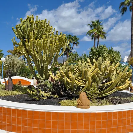 Apartman The Palms Golf Del Sur - Casa Andromeda *